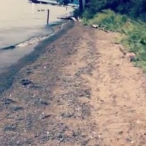 Meet your Posher, Alejandro